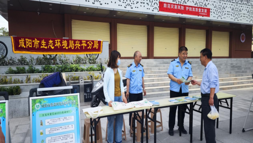 图片16