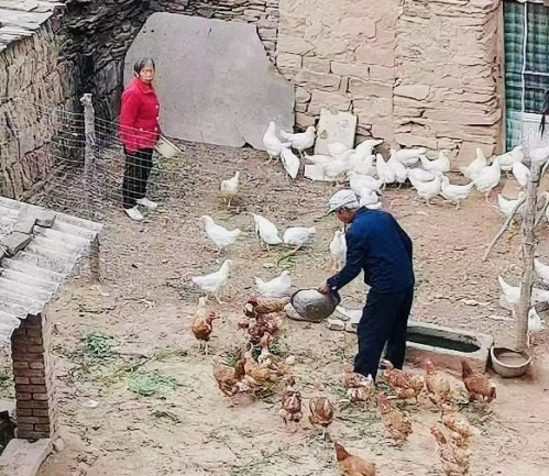 图片2