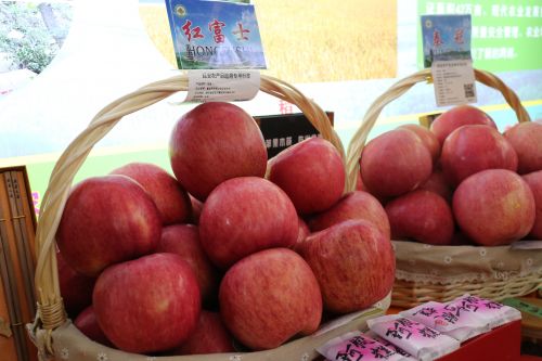 富县苹果