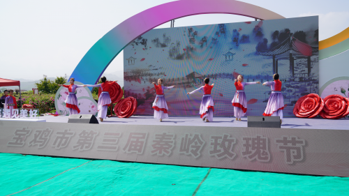 图片6