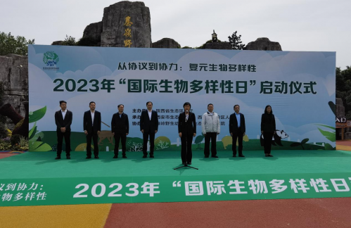 图片9