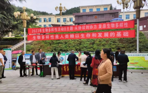 QQ截图20230523144812