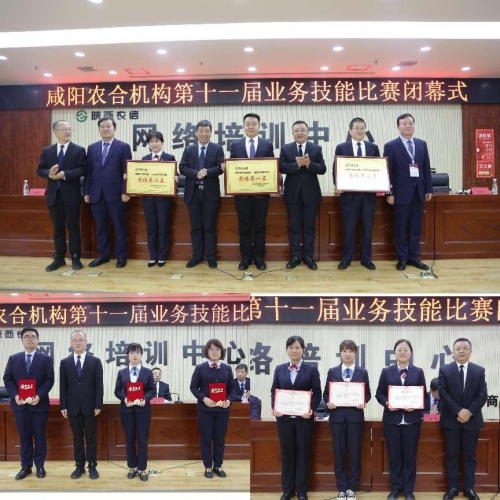 图片17