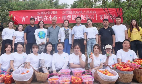 图片23