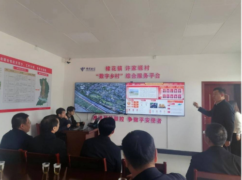 图片11