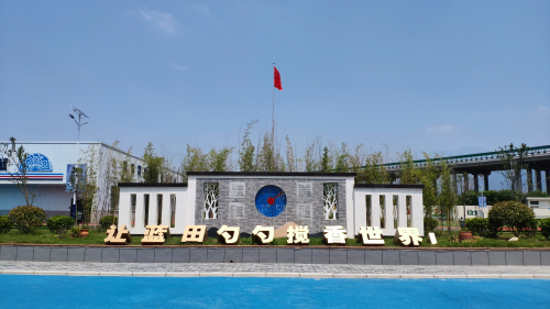 图片21
