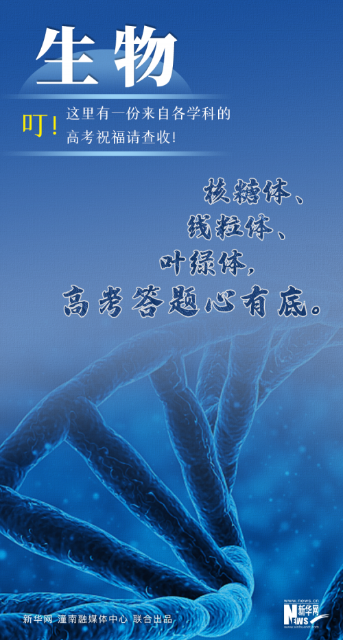 1129668452_16860172280161n