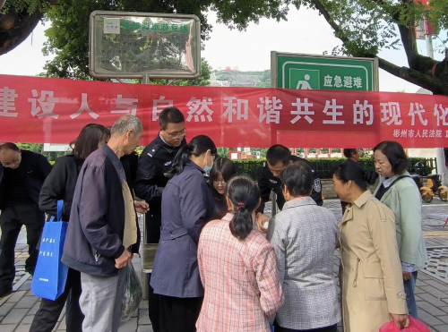 图片3