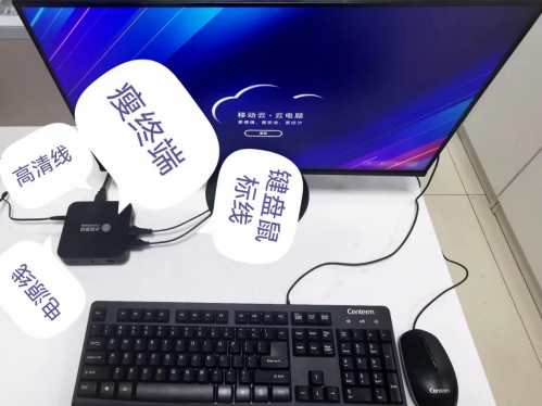 图片15
