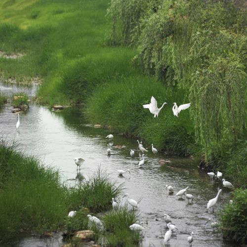 mmexport1686549106622