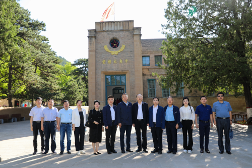 图片8