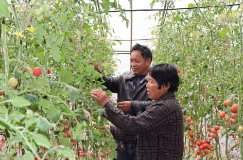 mmexport1686623178207