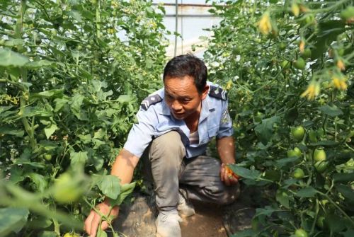 mmexport1686623174193