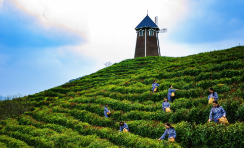 QQ截图20230616120715