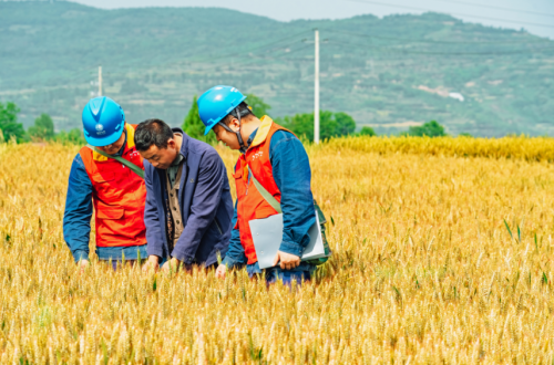 2d73d6bb3ed84d389e23c6f32bfba56d_noop