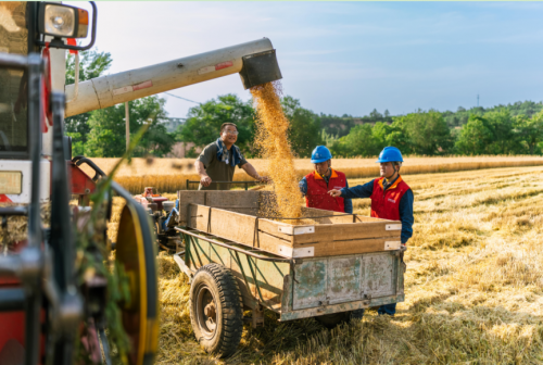 35be9d457f7b4982b314ec2dde725cc6_noop