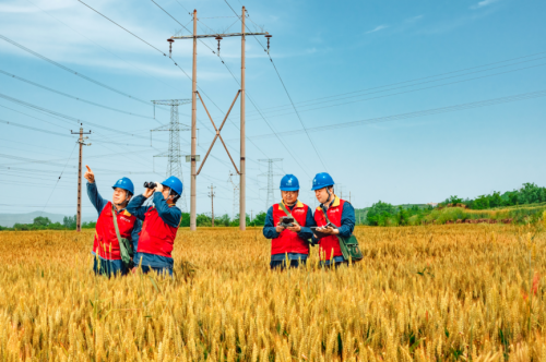 590bfc4076d44365b0d17b648769ad2c_noop