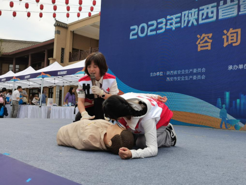 图片6
