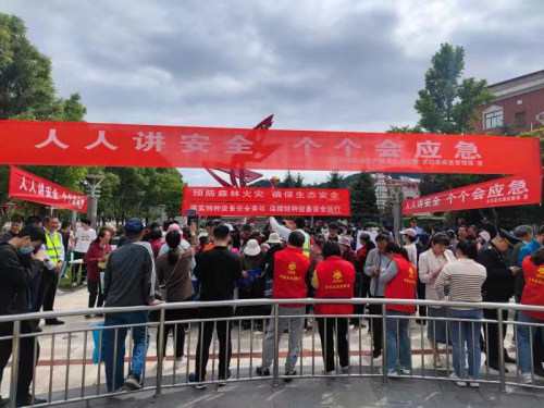 图片7
