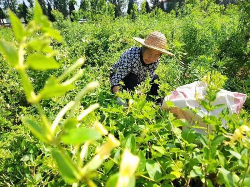 mmexport1687051782632