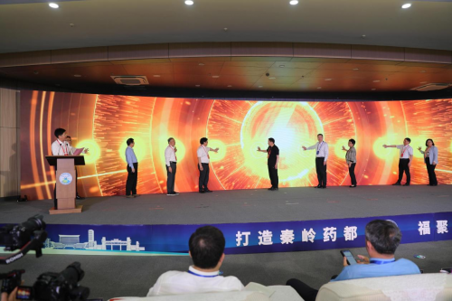 图片7