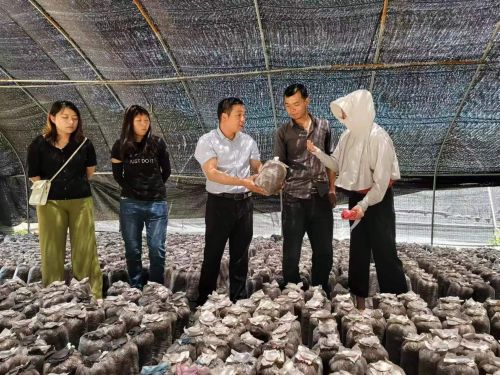 mmexport1687237095550