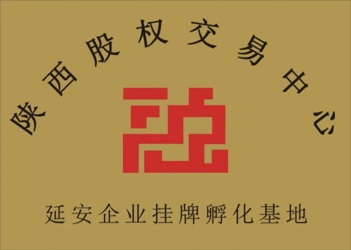 图片6