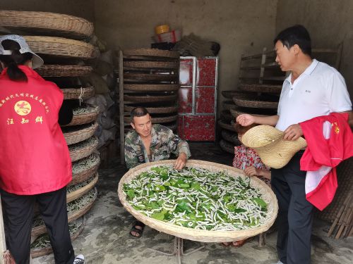 陈志国查看村民张少奎蚕生长情况