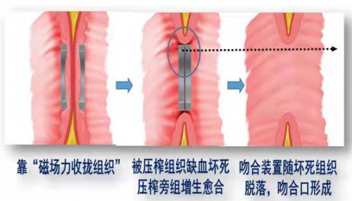 图片15