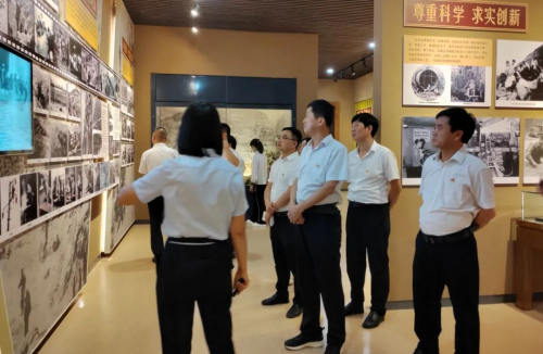 图片17