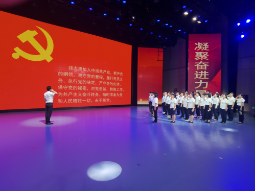 图片6