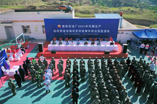 图片4