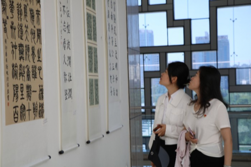 图片12