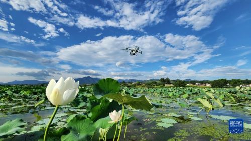 1129734059_16885601621441n