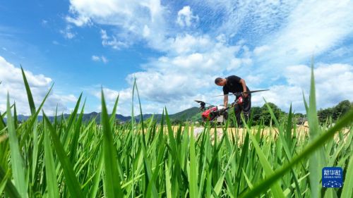 1129734059_16885601621141n