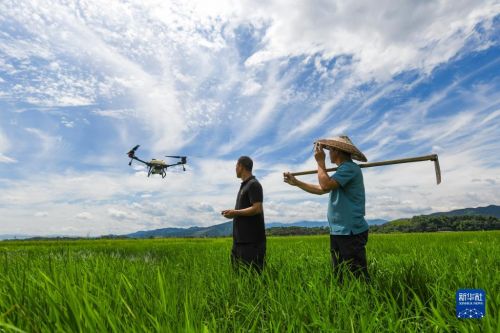 1129734059_16885601620801n