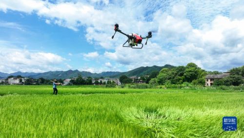 1129734059_16885601620461n (1)