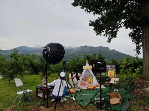 紫阳县双安镇富硒黄桃开园节暨招商引资签约会成功举办3 (1)