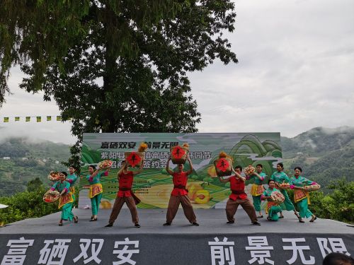 紫阳县双安镇富硒黄桃开园节暨招商引资签约会成功举办1
