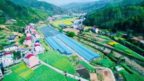 汉滨区大河镇:“四个狠抓”扎实 (2)