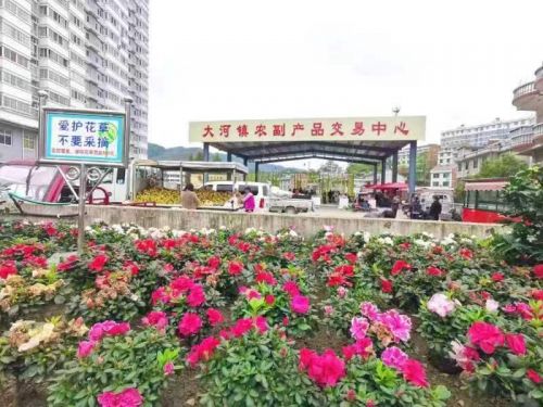 汉滨区大河镇:“四个狠抓”扎实 (1)