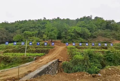 汉滨区大河镇:“四个狠抓”扎实