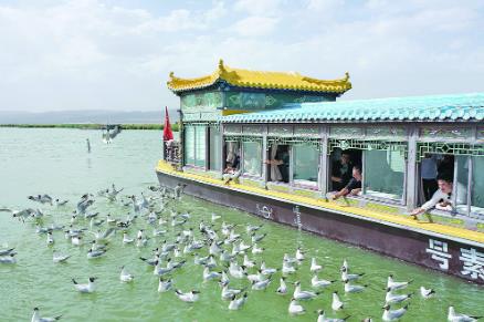 00300027357_5ab1cca2