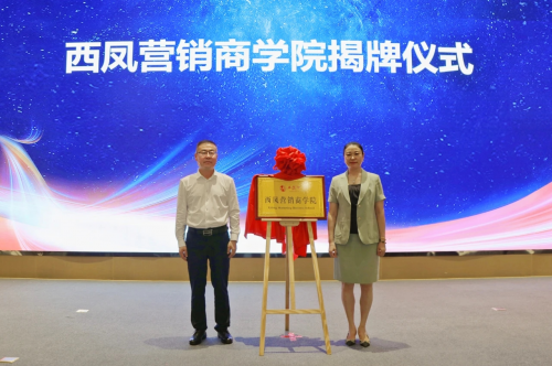 图片19