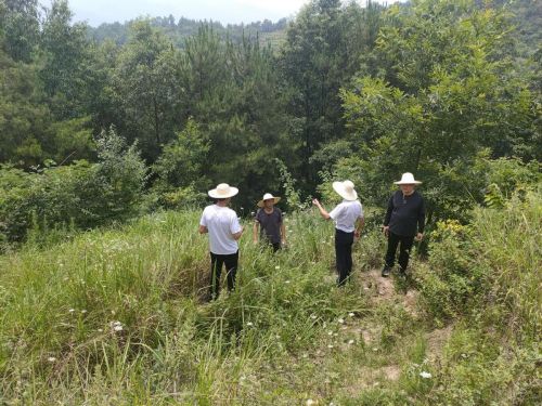 879f799aa42348498bc231bbef84f35a_noop