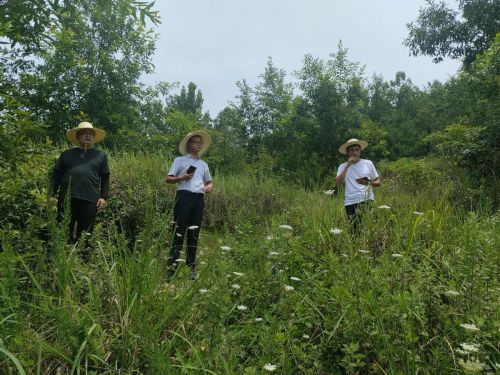 e90a7e84d61e436ba9f005e06f1c5d3d_noop