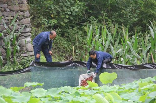 7234f52c32b5408b8e56a966d83d871a_noop