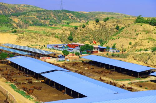 mmexport1689642385457