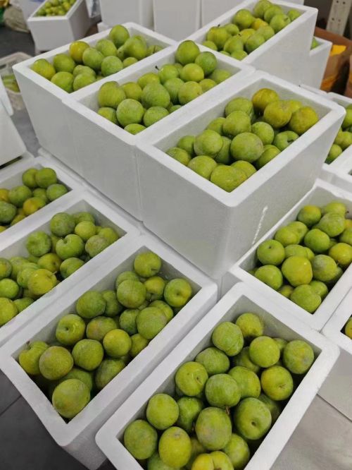 款款土特产 浓浓家乡味