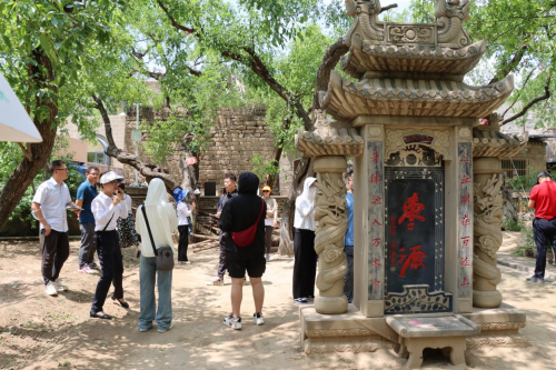 图片5